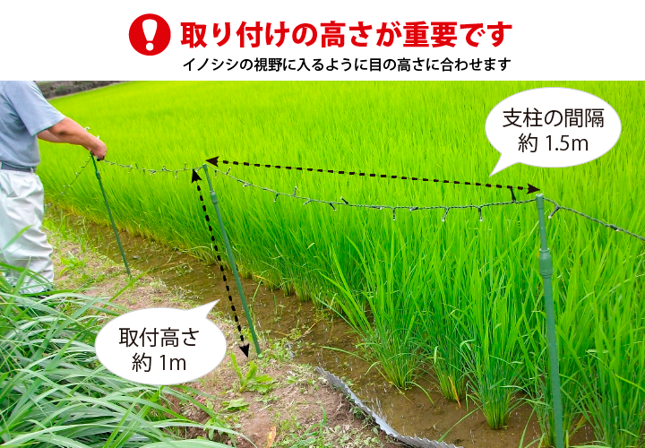 LED猪通せんぼ設置のポイント