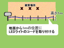 LEDの通せんぼの設置方法