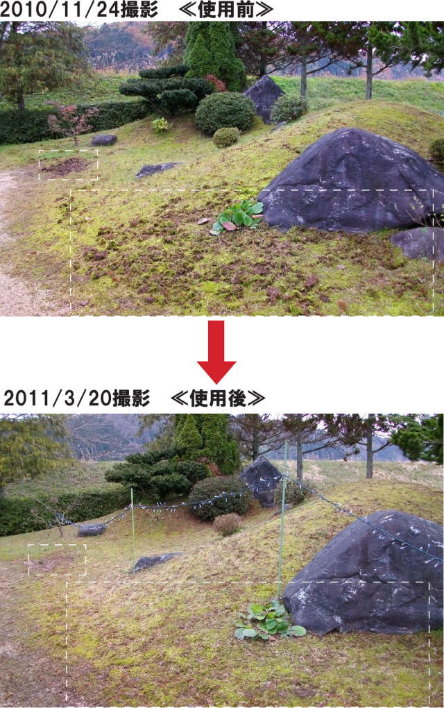 追跡調査2011